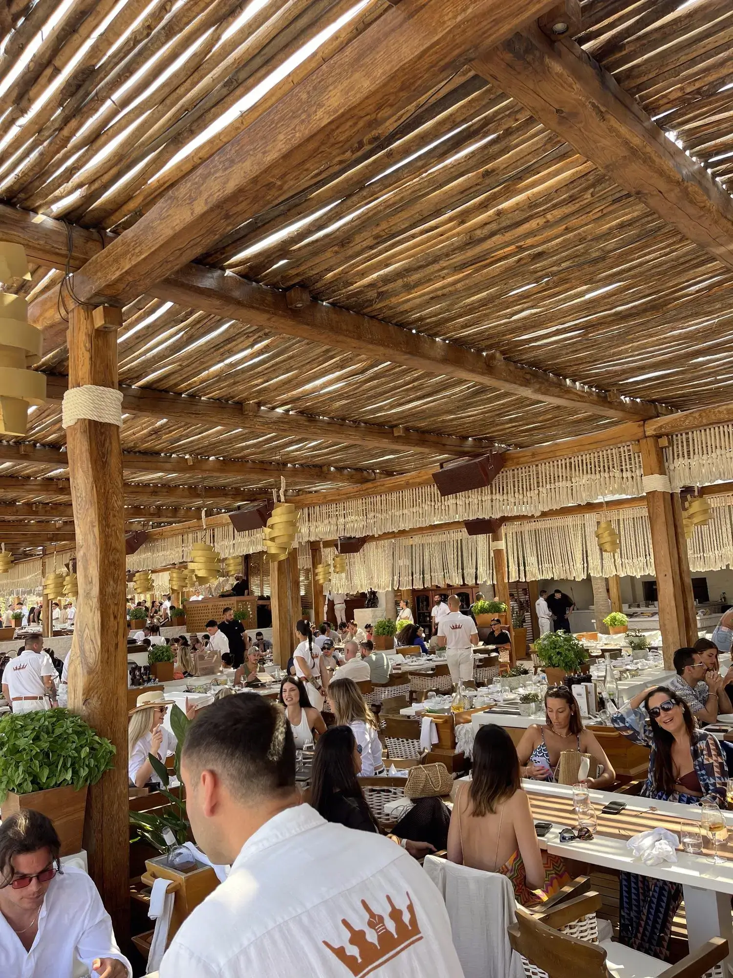 Premium beach club dining experience in Mykonos during peak summer season